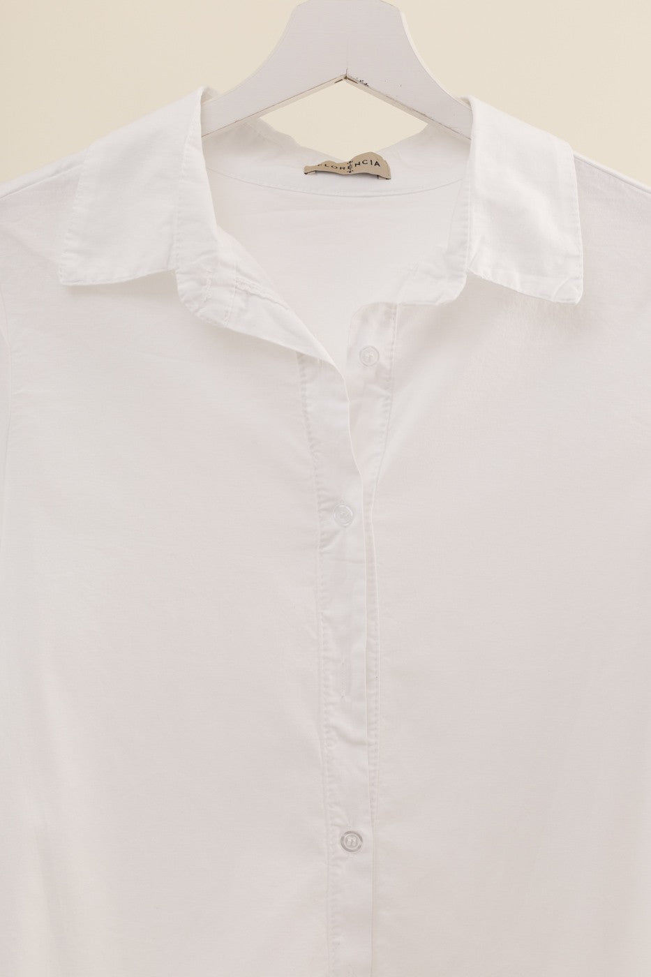 Camisa básica algodón 100%