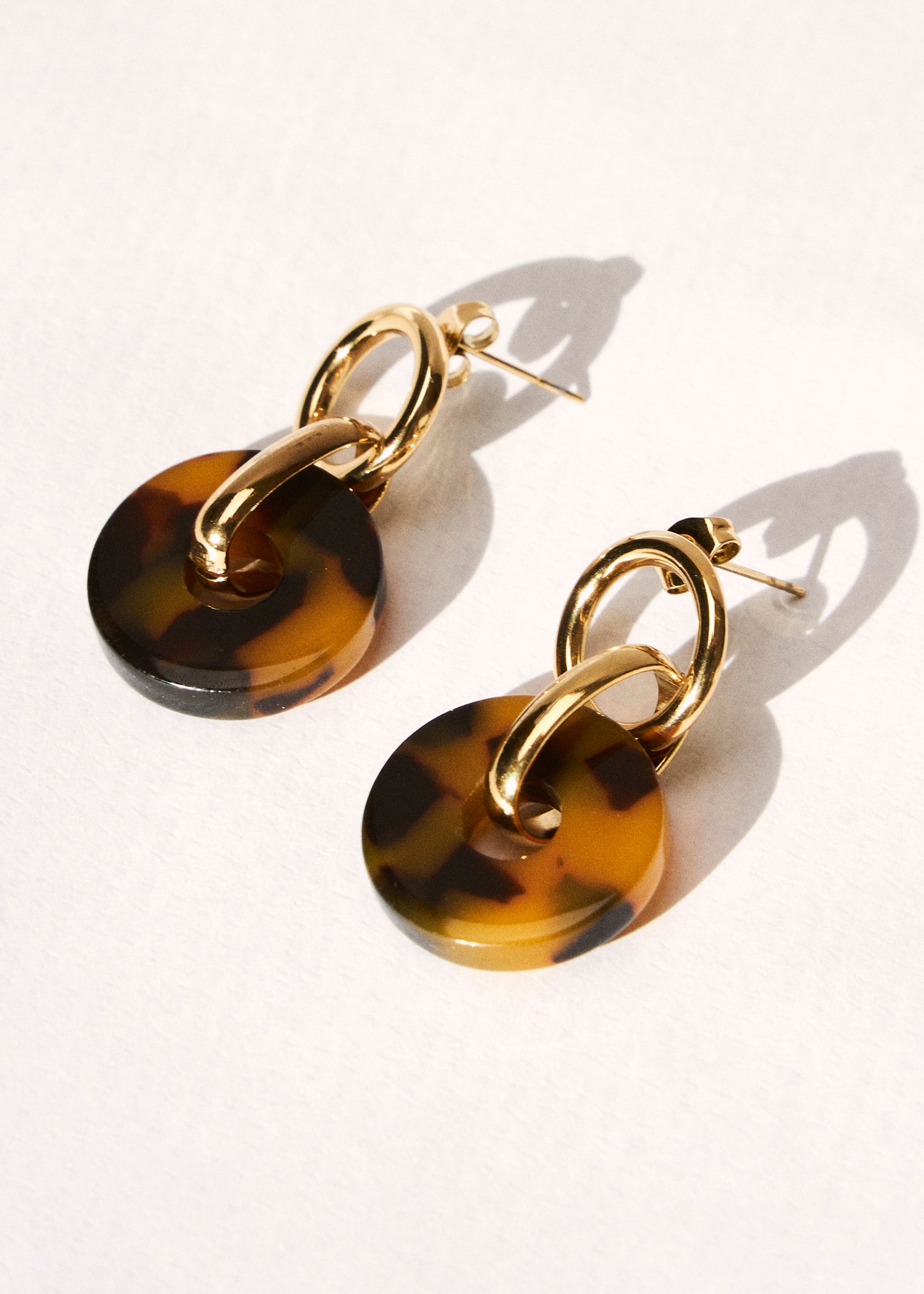 Pendientes combinados carey
