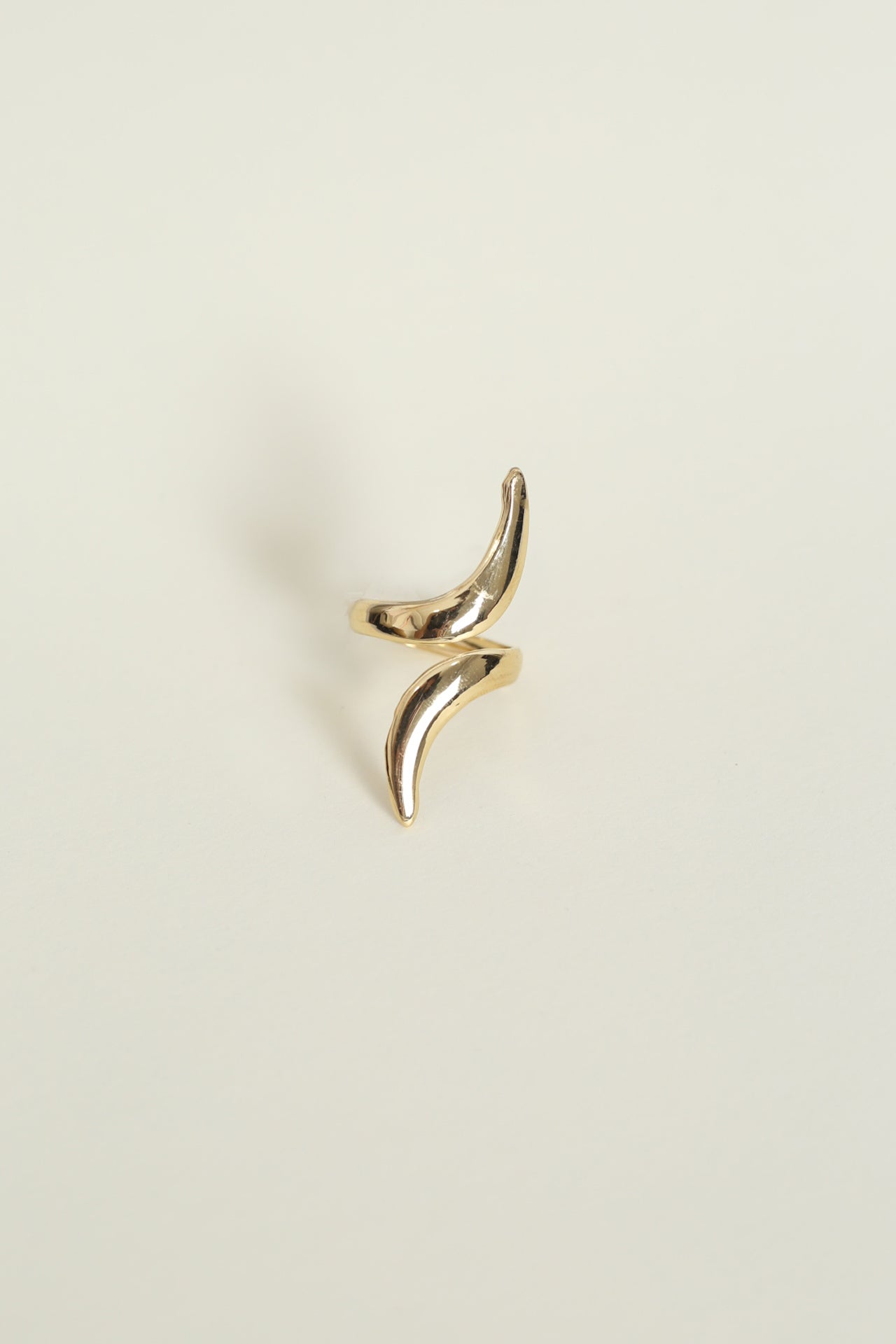 Fringe hoop earrings