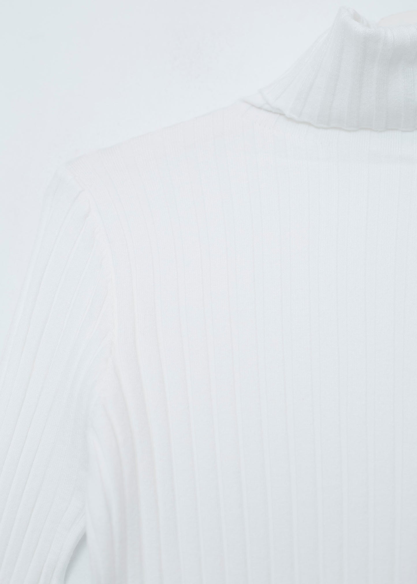 Ribbed turtleneck sweater